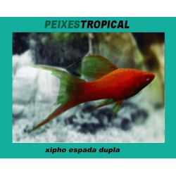 Xipho espada dupla